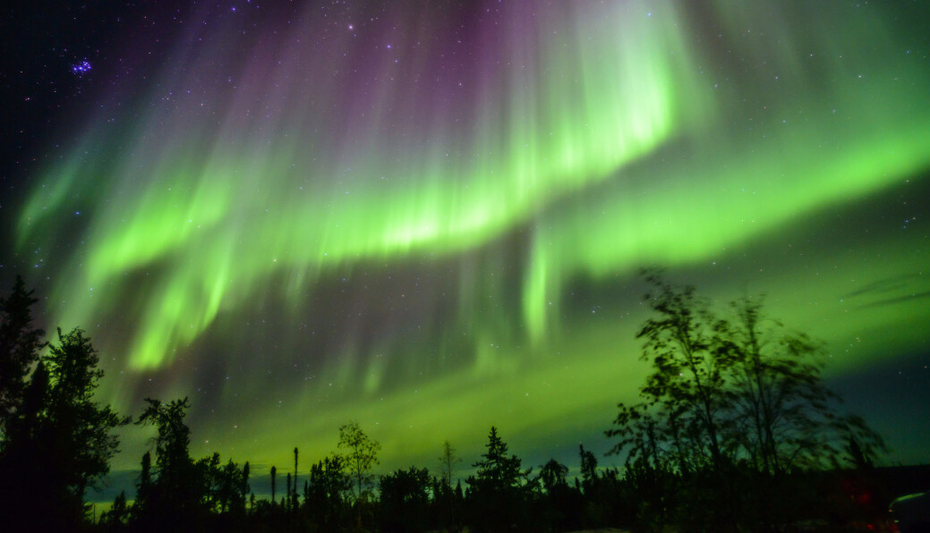 (Foto: Shin Okamoto / Shutterstock / NTB scanpix) (Foto: Shin Okamoto / Shutterstock / NTB scanpix)