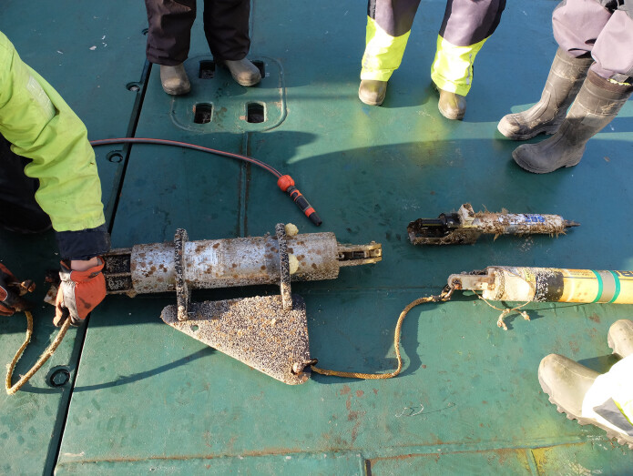Riggen hentes opp fra havets dyp. En akustisk sender fjernutløser riggen fra havbunnen, så bøyen med instrumentene flyter opp til overflaten og kan fiskes om bord. (Foto: Inger Lise Næss/UNIS) Riggen hentes opp fra havets dyp. En akustisk sender fjernutløser riggen fra havbunnen, så bøyen med instrumentene flyter opp til overflaten og kan fiskes om bord. (Foto: Inger Lise Næss/UNIS)