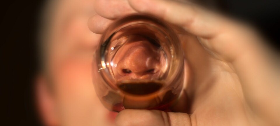 Forskerne mener de har funnet en mekanisme i hjernen som kanskje kan forklare hvorfor menn og kvinner ser ut til å reagere ulikt på alkohol over tid. (Foto: Shutterstock / NTB scanpix)
