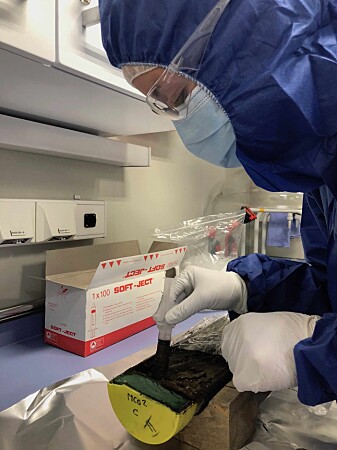 Sunniva Rutledal tar forsiktig ut DNA-prøver fra havavleiringene. Sunniva Rutledal tar forsiktig ut DNA-prøver fra havavleiringene.