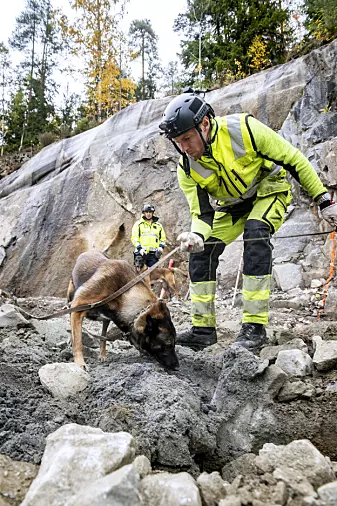 Vegar Falsten og hundene han trener farter land og strand rundt for å gjøre det tryggere på byggeplasser. (Foto: Espen Hofoss)