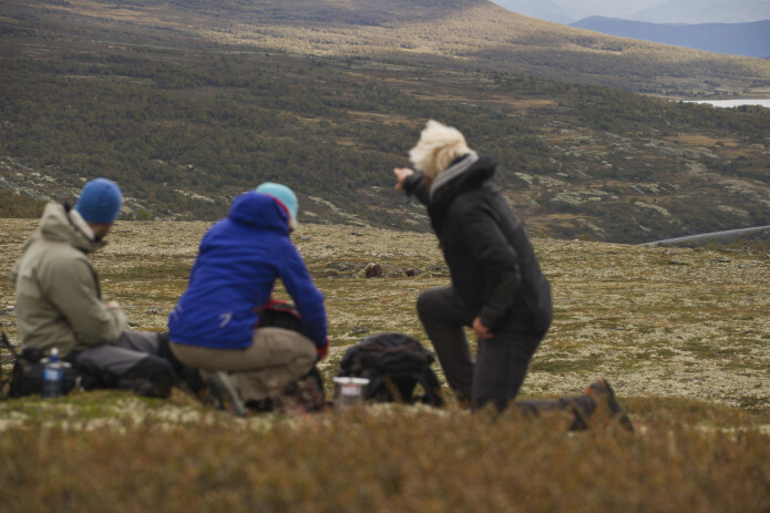 Innen viltturisme fins gode muligheter for å supplere med kulturbaserte opplevelser, viser BIOTOURs forskning på moskus- og isbjørnsafari. (Foto: CH / Visitnorway.com) Innen viltturisme fins gode muligheter for å supplere med kulturbaserte opplevelser, viser BIOTOURs forskning på moskus- og isbjørnsafari. (Foto: CH / Visitnorway.com)