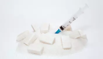 Forskerne krangler om sukkeravhengighet