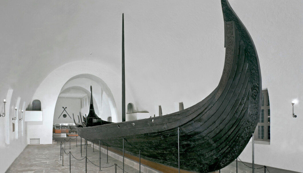 Vikingane reiste til Irland med seglskip. Dette er Osebergskipet. Det er i hovudsak på Vestlandet ein finn gjenstandar frå Irland, frå Austlandet reiste ein heller til Sverige og Danmark. (Foto: Kulturhistorisk museum, UiO) Vikingane reiste til Irland med seglskip. Dette er Osebergskipet. Det er i hovudsak på Vestlandet ein finn gjenstandar frå Irland, frå Austlandet reiste ein heller til Sverige og Danmark. (Foto: Kulturhistorisk museum, UiO)