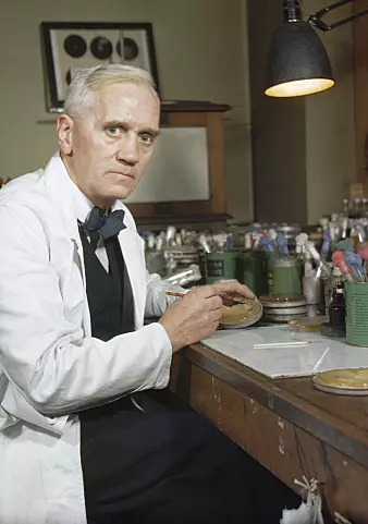 Alexander Fleming, som oppdaget penicillin takket være slurv på labben i 1928, tok ikke patent. Noen mener dette var årsaken til at det gikk så lang tid fra oppdagelse til masseproduksjon. (Foto: Imperial War Museums)