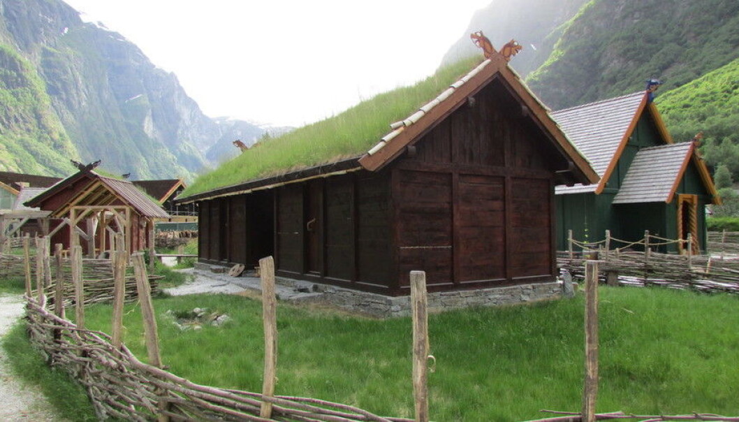 Vikingbyen Njardarheimr i Vikingvalley i Gudvangen starta opp som ein sommarmarknad, men er no blitt eit permanent opplevingssenter. Men tilbodet har òg fått kritikk for måten vikingtida blir formidla på. (Foto: Wikimedia commons) Vikingbyen Njardarheimr i Vikingvalley i Gudvangen starta opp som ein sommarmarknad, men er no blitt eit permanent opplevingssenter. Men tilbodet har òg fått kritikk for måten vikingtida blir formidla på. (Foto: Wikimedia commons)