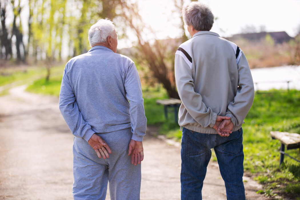 Ny norsk forskning viser at hvilken type demens pasienten får, trolig har noe å si for personens forventede levetid. (Illustrasjonsfoto: adriaticfoto / Shutterstock / NTB scanpix) Ny norsk forskning viser at hvilken type demens pasienten får, trolig har noe å si for personens forventede levetid. (Illustrasjonsfoto: adriaticfoto / Shutterstock / NTB scanpix)