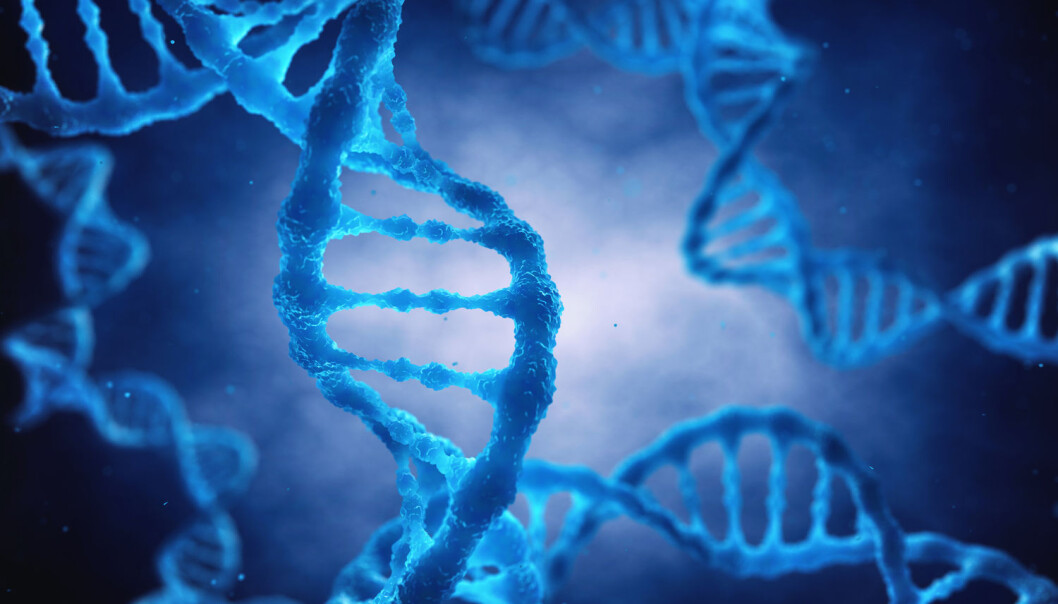 Forskerne mener resultatene deres kan brukes i en test for å forutsi risikoen for lårhalsbrudd. (Foto: Shutterstock / NTB scanpix) Forskerne mener resultatene deres kan brukes i en test for å forutsi risikoen for lårhalsbrudd. (Foto: Shutterstock / NTB scanpix)