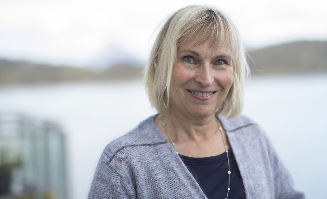 Berit Støre Brinchmann er professor i sykepleieetikk ved Nord universitet. (Foto: Svein-Arnt Eriksen) Berit Støre Brinchmann er professor i sykepleieetikk ved Nord universitet. (Foto: Svein-Arnt Eriksen)