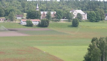 Bastøy minner om en liten landsby. De innsatte kan bevege seg fritt rundt på øya. (Foto: Bastøy fengsel) Bastøy minner om en liten landsby. De innsatte kan bevege seg fritt rundt på øya. (Foto: Bastøy fengsel)