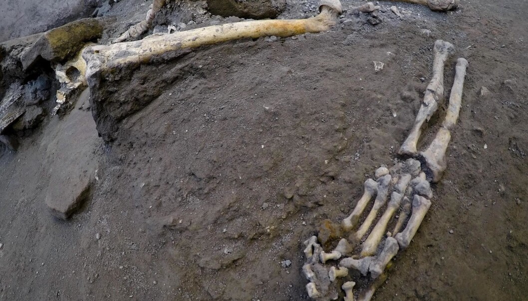 Til tross for mye plyndring gjennom århundrer, har arkeologer nå funnet fem helt intakte skjeletter i den begravde oldtidsbyen Pompeii. (Foto: Ciro Fusco / AP / NTB scanpix) Til tross for mye plyndring gjennom århundrer, har arkeologer nå funnet fem helt intakte skjeletter i den begravde oldtidsbyen Pompeii. (Foto: Ciro Fusco / AP / NTB scanpix)