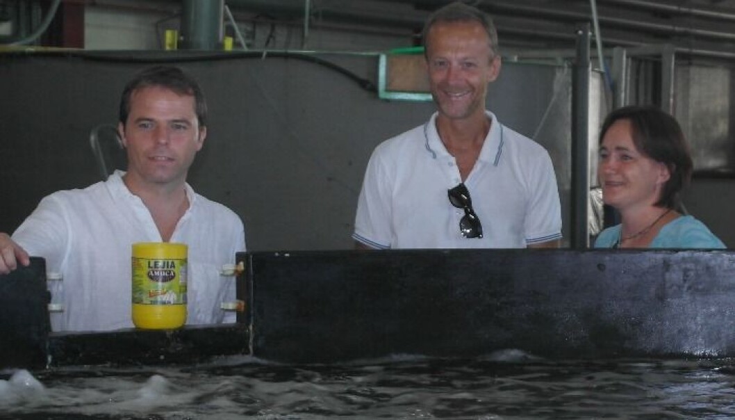 Her er forskerteamet bak Chile-hjelpen: Øyvind Knutsen, Finn Are Michelsen og Ingrid Ellingsen i Sintef Ocean. (Foto: Sintef) Her er forskerteamet bak Chile-hjelpen: Øyvind Knutsen, Finn Are Michelsen og Ingrid Ellingsen i Sintef Ocean. (Foto: Sintef)