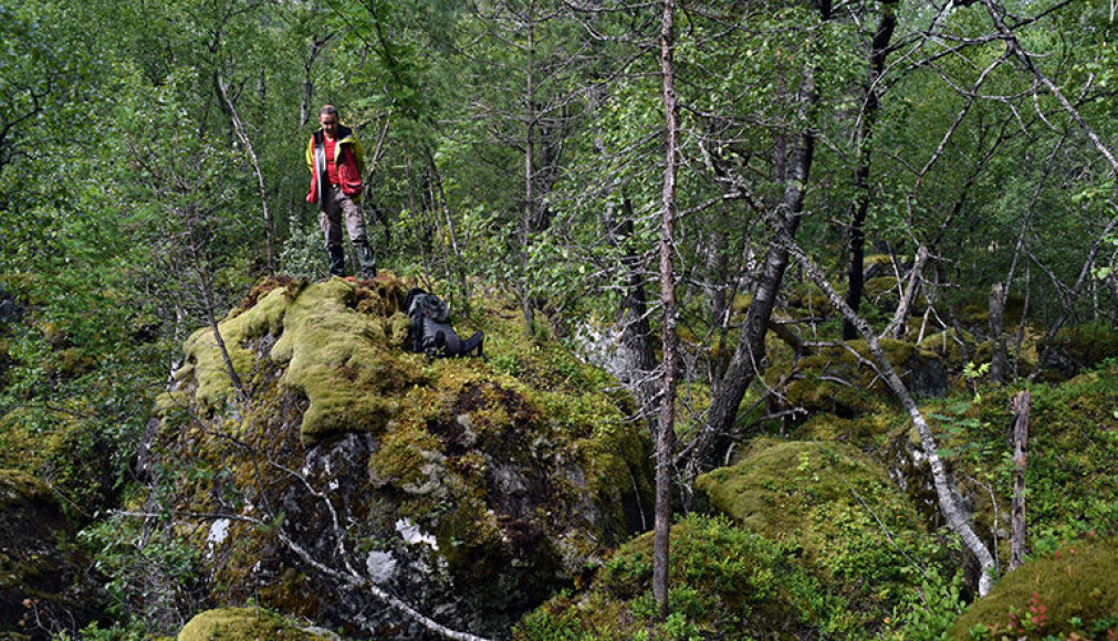 Gamle skredmasser fra Mannen i Romsdalen er datert. På bildet ser vi lagleder Reginald Hermanns på en diger blokk. (Foto: NGU) Gamle skredmasser fra Mannen i Romsdalen er datert. På bildet ser vi lagleder Reginald Hermanns på en diger blokk. (Foto: NGU)