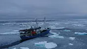 Varmere hav og mindre is nord for Svalbard