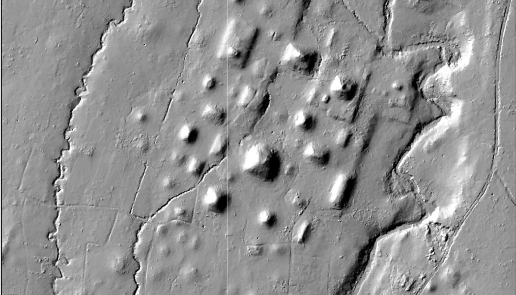 Ruinbyen Izapa sett med lidar. (BIlde: Rosenswig/López-Torrijos/Antiquity October 2018) Ruinbyen Izapa sett med lidar. (BIlde: Rosenswig/López-Torrijos/Antiquity October 2018)