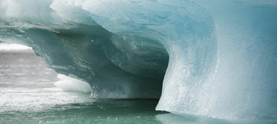 Isen tiner over hele Arktis, og i polare strøk stiger temperaturen dobbelt så fort som andre steder på kloden. Hvis all isen på Grønland smelter, vil havnivået stige med sju meter. (Foto: Berit Roald, NTB scanpix)