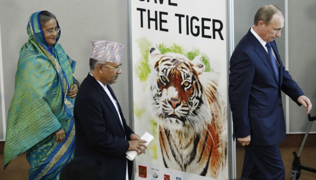 Samtidig som WWF har lagt fram en dyster rapport om at stadig flere arter forsvinner fra kloden, har Kina opphevet forbudet mot handel av produkter laget av truede tigre og neshorn. Bildet er fra en internasjonal tigerkonferanse i St. Petersburg i november 2010. (Arkivfoto: Dmitrij Lovetskij / AP / NTB scanpix) Samtidig som WWF har lagt fram en dyster rapport om at stadig flere arter forsvinner fra kloden, har Kina opphevet forbudet mot handel av produkter laget av truede tigre og neshorn. Bildet er fra en internasjonal tigerkonferanse i St. Petersburg i november 2010. (Arkivfoto: Dmitrij Lovetskij / AP / NTB scanpix)