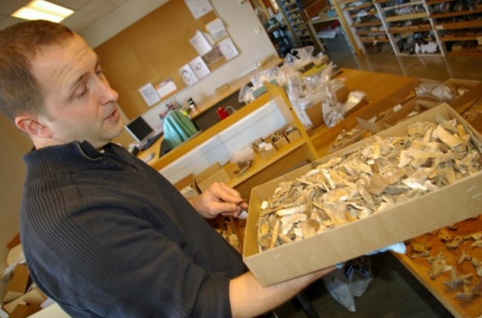 Her holder Sean Denham en kasse med flere beinrester fra de 31 skjelettene som var begravet under domkirken i Stavanger. (Foto: Bjørnar Kjensli)