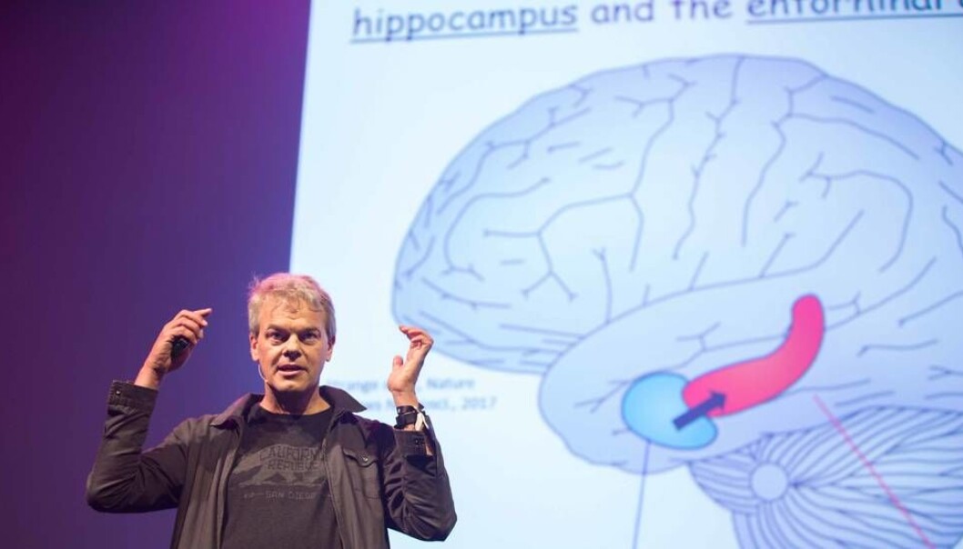 - Publiseringen i Nature gjorde at grid-forskningen vår ble en snakkis verden over, noe som fanget Nobelkomiteens oppmerksomhet, sier Edvard Moser, her fotografert under fjorårets Starmusfestival. (Foto: Kristoffer Furberg) - Publiseringen i Nature gjorde at grid-forskningen vår ble en snakkis verden over, noe som fanget Nobelkomiteens oppmerksomhet, sier Edvard Moser, her fotografert under fjorårets Starmusfestival. (Foto: Kristoffer Furberg)