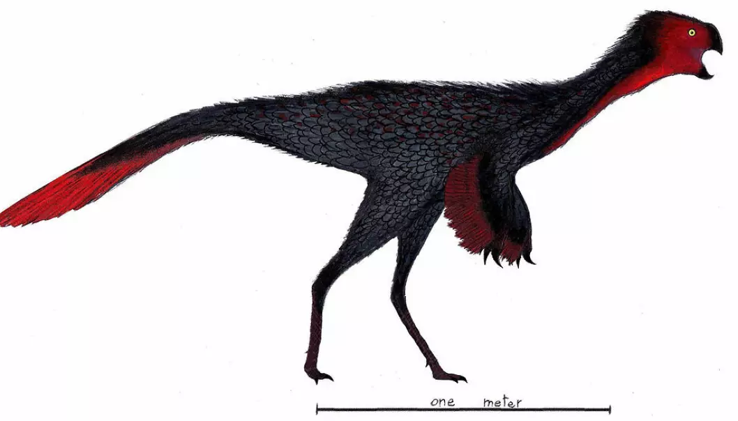 En variant av dinosauren Heyuannia, slik en kunstner ser den for seg. (Bilde: Danny Cicchetti/CC BY-SA 3.0)