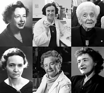 6 av de 20 kvinnene som siden 1901 har fått nobelpriser i fysikk, kjemi eller medisin. Øverst fra venstre: Maria Goeppert-Mayer, Rosalyn Sussman Yalow og Rita Levi-Montalcini. Nederst fra venstre: Irène Joliot-Curie, Gertrude B. Elion og Gerty Cori. (Foto: Wikimedia/videnskab.dk)