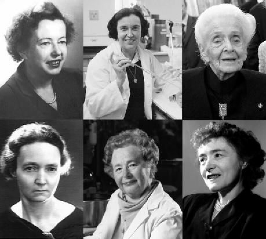 6 av de 20 kvinnene som siden 1901 har fått nobelpriser i fysikk, kjemi eller medisin. Øverst fra venstre: Maria Goeppert-Mayer, Rosalyn Sussman Yalow og Rita Levi-Montalcini. Nederst fra venstre: Irène Joliot-Curie, Gertrude B. Elion og Gerty Cori. (Foto: Wikimedia/videnskab.dk)
