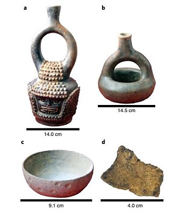 Keramikkgjenstander funnet i Ecuador. Alle inneholdt spor av kakao, og potteskåret nederst til venstre hav spor som var hele 5300–5450 år gamle. (Foto: Zarrillo et al./Nature Ecology and Evolution.) Keramikkgjenstander funnet i Ecuador. Alle inneholdt spor av kakao, og potteskåret nederst til venstre hav spor som var hele 5300–5450 år gamle. (Foto: Zarrillo et al./Nature Ecology and Evolution.)