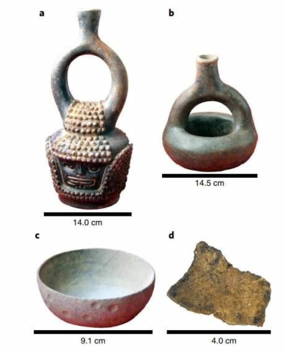 Keramikkgjenstander funnet i Ecuador. Alle inneholdt spor av kakao, og potteskåret nederst til venstre hav spor som var hele 5300–5450 år gamle. (Foto: Zarrillo et al./Nature Ecology and Evolution.)