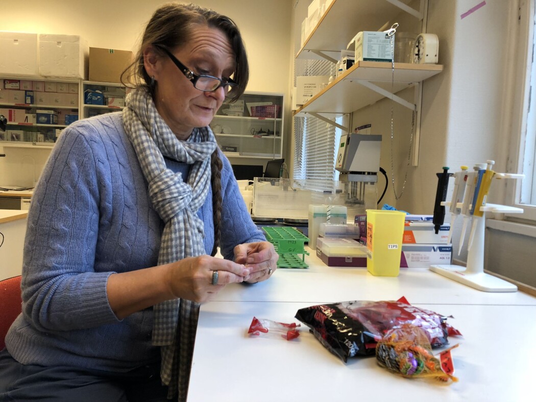 Tove Devold er godt kjent med e-stoffer. Hun er mer bekymret for sukkeret, ikke e-stoffene, i godteriet. (Foto: Morten Nordahl Ellingsen/NMBU) Tove Devold er godt kjent med e-stoffer. Hun er mer bekymret for sukkeret, ikke e-stoffene, i godteriet. (Foto: Morten Nordahl Ellingsen/NMBU)