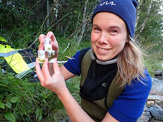 Therese Fosholt Moe har samla inn algar som kan sjåast med det blotte auge i Størdalselva i Agdenes. Desse algane skal òg undersøkjast i mikroskop seinare. (Foto: NIVA) Therese Fosholt Moe har samla inn algar som kan sjåast med det blotte auge i Størdalselva i Agdenes. Desse algane skal òg undersøkjast i mikroskop seinare. (Foto: NIVA)