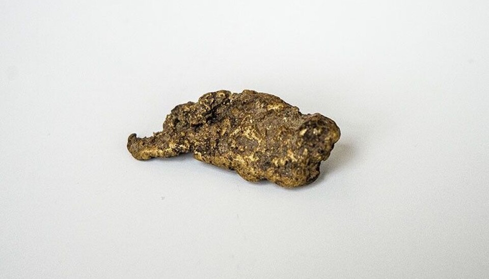 Gullklumpen veier 34,9 gram. (Foto: Filip Gundersen / NGU)