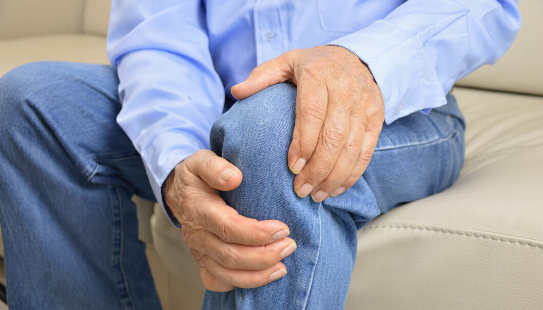Slitasjegikt i kneet er blitt svært vanlig. Trolig finnes det ukjente miljøfaktorer bak, tror forskere etter å ha studert levningene etter over 2000 døde mennesker. (Foto: cunaplus / Shutterstock / NTB scanpix) Slitasjegikt i kneet er blitt svært vanlig. Trolig finnes det ukjente miljøfaktorer bak, tror forskere etter å ha studert levningene etter over 2000 døde mennesker. (Foto: cunaplus / Shutterstock / NTB scanpix)