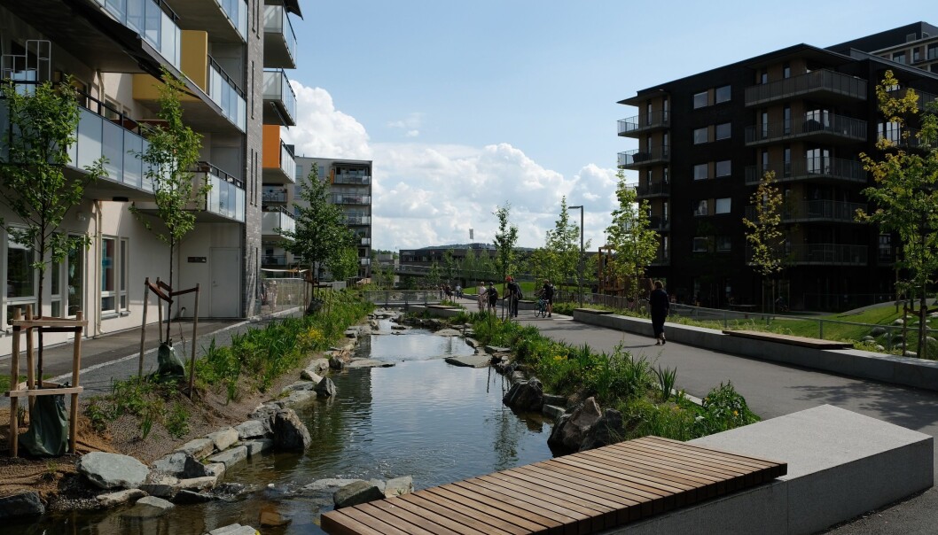 Hovinbekken renner gjennom Oslo. Men da byen ble bygget ut, ble store deler av den lagt under jorda. Nå har deler av bekken blitt gjenåpnet. (Foto: NIBIO) Hovinbekken renner gjennom Oslo. Men da byen ble bygget ut, ble store deler av den lagt under jorda. Nå har deler av bekken blitt gjenåpnet. (Foto: NIBIO)