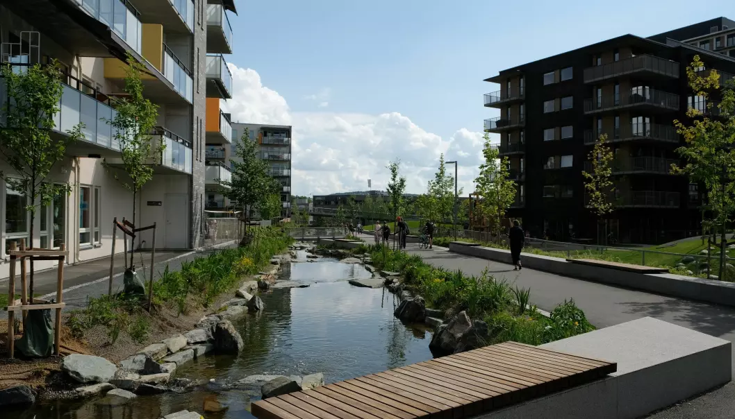 Hovinbekken renner gjennom Oslo. Men da byen ble bygget ut, ble store deler av den lagt under jorda. Nå har deler av bekken blitt gjenåpnet.  (Foto: NIBIO)