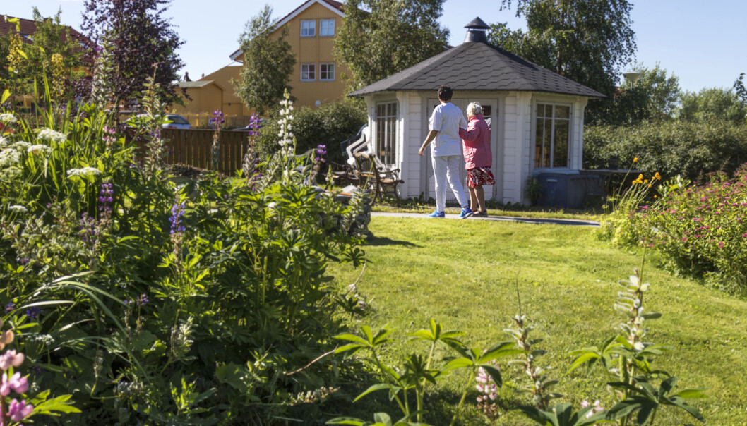 Ved å dele opplevelser i sansehagen kan pleier og pasient få bedre kontakt. (Foto: Svein-Arnt Eriksen) Ved å dele opplevelser i sansehagen kan pleier og pasient få bedre kontakt. (Foto: Svein-Arnt Eriksen)