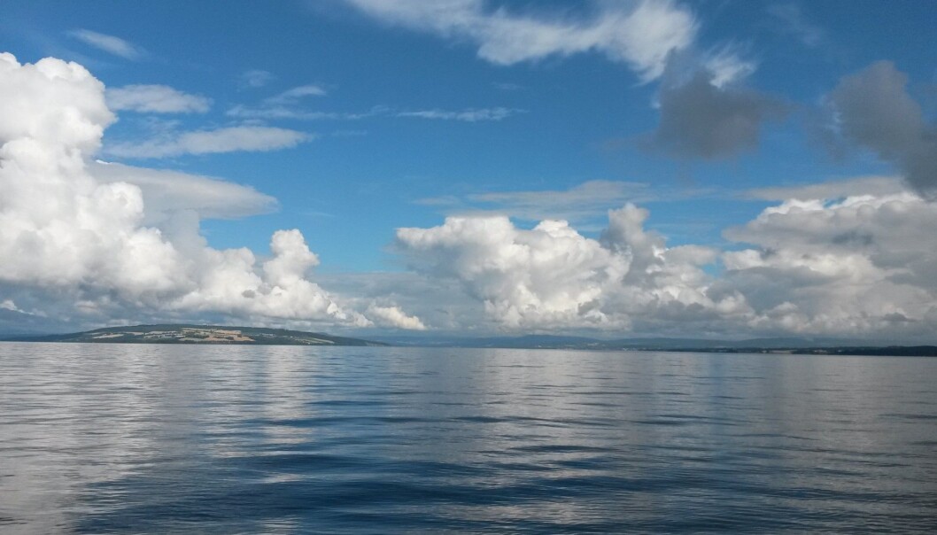 Historien om vannmiljøet i Norges største innsjø er nesten en ren gladsak. I dag er overgjødsling med fosfor halvert og det er lite blågrønnalger i vannet. Her er Mjøsa sett fra Skreia mot nord. (Foto: Jarl Eivind Løvik, NIVA) Historien om vannmiljøet i Norges største innsjø er nesten en ren gladsak. I dag er overgjødsling med fosfor halvert og det er lite blågrønnalger i vannet. Her er Mjøsa sett fra Skreia mot nord. (Foto: Jarl Eivind Løvik, NIVA)