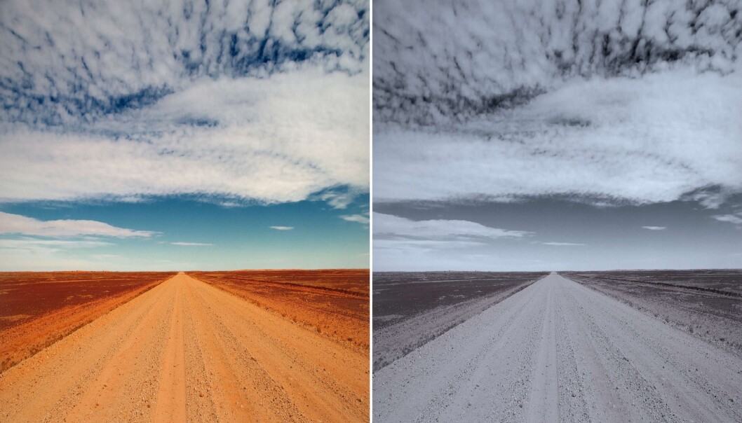 Ny forskning viser at deprimerte oftere deler bilder som det til høyre. Blåere, gråere og mørkere. (Illustrasjon: Chris Danforth, bearbeidet av forskning.no) Ny forskning viser at deprimerte oftere deler bilder som det til høyre. Blåere, gråere og mørkere. (Illustrasjon: Chris Danforth, bearbeidet av forskning.no)