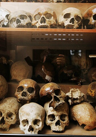 På Tuol Sleng-museet, lokalene til Røde Khmers tidligere torturfengsel i Phnom Penh er noen av hodeskallene som ble funnet i massegraver utstilt. (Arkivfoto: Erlend Aas / NTB scanpix) På Tuol Sleng-museet, lokalene til Røde Khmers tidligere torturfengsel i Phnom Penh er noen av hodeskallene som ble funnet i massegraver utstilt. (Arkivfoto: Erlend Aas / NTB scanpix)