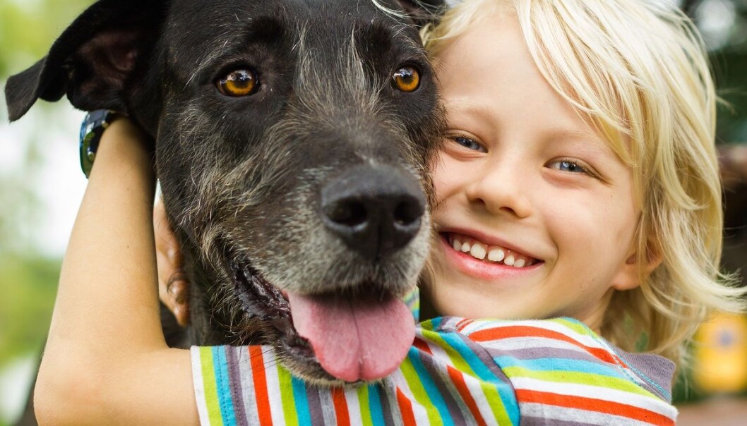 – Vi fant ingen bevis for at barn fra familier med hunder og katter har det bedre psykisk eller fysisk, sier Layla Parast, en av forskerne bak studien, i en pressemelding. (Illustrasjonsfoto: Melle V, Shutterstock, NTB scanpix) – Vi fant ingen bevis for at barn fra familier med hunder og katter har det bedre psykisk eller fysisk, sier Layla Parast, en av forskerne bak studien, i en pressemelding. (Illustrasjonsfoto: Melle V, Shutterstock, NTB scanpix)