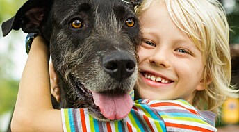Barn blir ikke friskere av å ha hund eller katt