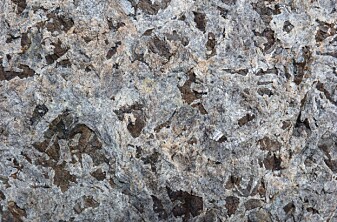 Størkningsbergarten gabbro består av det lyse mineralet plagioklas, mørk grå pyroksen og rustfarget olivin. De avlange krystallene på flere cm størrelse er typisk for en bergart som er krystallisert i dypet av jordskorpen. (Foto: Ane K. Engvik) Størkningsbergarten gabbro består av det lyse mineralet plagioklas, mørk grå pyroksen og rustfarget olivin. De avlange krystallene på flere cm størrelse er typisk for en bergart som er krystallisert i dypet av jordskorpen. (Foto: Ane K. Engvik)