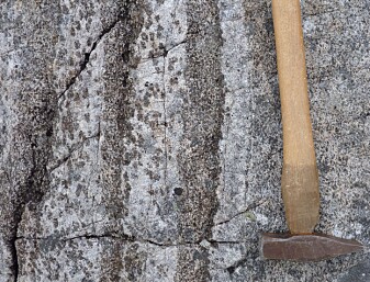 De blankskurte bergene viser oss strukturer i gabbroen som illustrerer hvordan mineraler krystalliserer i magmakammeret dypt i jordskorpen. I dag kan vi se dette som lag med vekslende farge i berget på jordoverflaten. (Foto: Ane K. Engvik) De blankskurte bergene viser oss strukturer i gabbroen som illustrerer hvordan mineraler krystalliserer i magmakammeret dypt i jordskorpen. I dag kan vi se dette som lag med vekslende farge i berget på jordoverflaten. (Foto: Ane K. Engvik)