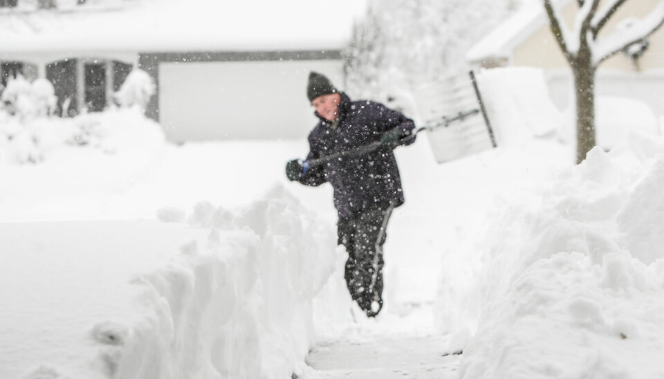 Er det vind og kulde som gir økt risiko for hjerteinfarkt? Eller får været oss til å gjøre risikable ting, som å måke snø? (Foto: Suzanne Tucker / Shutterstock / NTB scanpix)