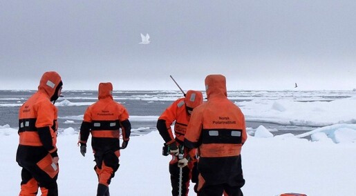 Store hull i isen påvirker værvarselet for Arktis