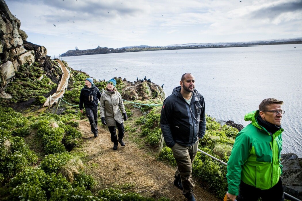 Stadig flere reiser til Hornøya i Finnmark for å få oppleve det rike fuglelivet der. (Foto: Christian Roth Christensen / Visitnorway.com) Stadig flere reiser til Hornøya i Finnmark for å få oppleve det rike fuglelivet der. (Foto: Christian Roth Christensen / Visitnorway.com)
