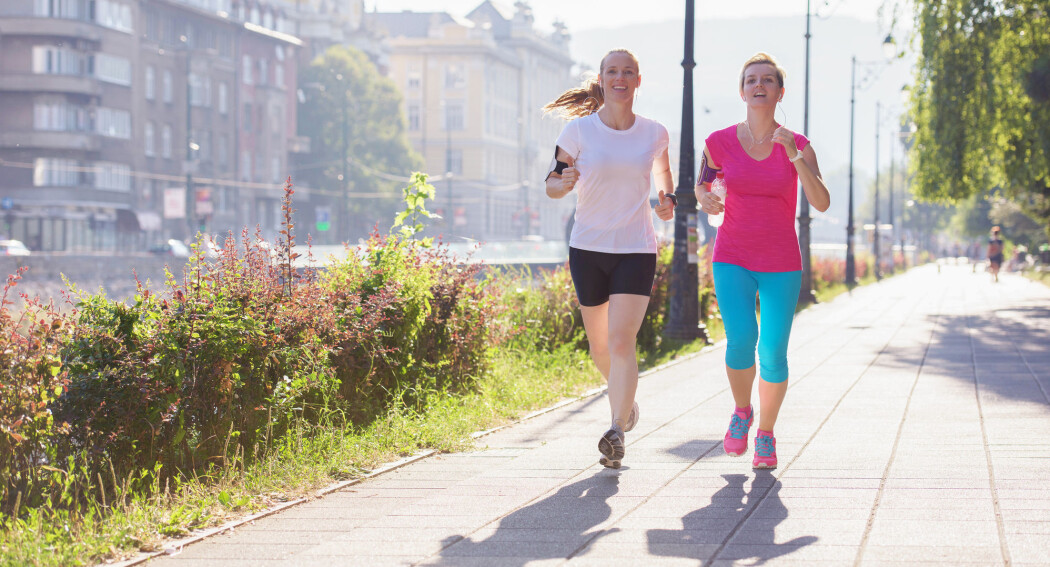 Treningsprogrammet bestod av oppvarming, 30 minutter utholdenhetstrening og 30 minutter styrketrening og en avspenningsdel. (Illustrasjonsfoto: dotshock / Shutterstock / NTB scanpix) Treningsprogrammet bestod av oppvarming, 30 minutter utholdenhetstrening og 30 minutter styrketrening og en avspenningsdel. (Illustrasjonsfoto: dotshock / Shutterstock / NTB scanpix)