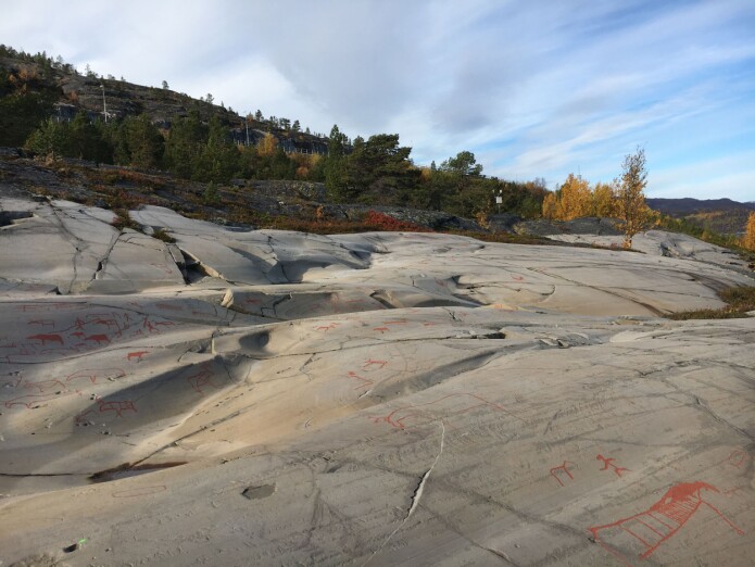 Disse flere tusen år gamle helleristningene fra Alta viser et jeger-sankersamfunn, som er ganske langt fra det vi ser på som norsk i dag. (Foto: Astrid J. Nyland) Disse flere tusen år gamle helleristningene fra Alta viser et jeger-sankersamfunn, som er ganske langt fra det vi ser på som norsk i dag. (Foto: Astrid J. Nyland)