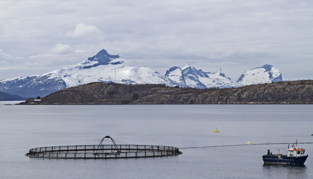 Forskere har utviklet en håndbok for oppdrettere om et godt fiskeliv. (Illustrasjonsfoto: Colourbox) Forskere har utviklet en håndbok for oppdrettere om et godt fiskeliv. (Illustrasjonsfoto: Colourbox)