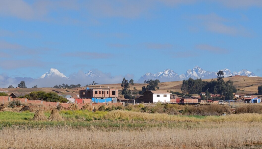 En moderne bosetning på høylandet i Peru, rundt 3000 meter over havet. Forfedrene utviklet evnen til å leve på stivelsesrike poteter. (Foto: Eivind Torgersen) En moderne bosetning på høylandet i Peru, rundt 3000 meter over havet. Forfedrene utviklet evnen til å leve på stivelsesrike poteter. (Foto: Eivind Torgersen)