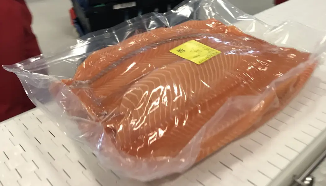 Laksenæringen har til nå brukt tykk plast når filetene skal eksporteres til utlandet. (Foto: Nofima) Laksenæringen har til nå brukt tykk plast når filetene skal eksporteres til utlandet. (Foto: Nofima)